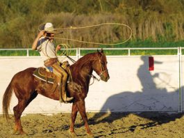 No animal cruelty ordinance in economic downturn