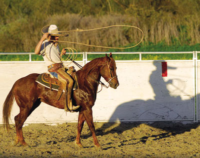 No animal cruelty ordinance in economic downturn