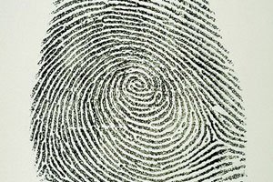 Sheriff’s blotter: Credit card used at ocean aid Web site