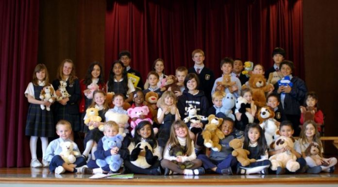 Student collects, donates stuffed animals to nonprofit