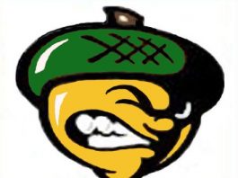 LO eliminated from playoff race with loss at San Jose