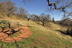 Getting out: A cheap trail