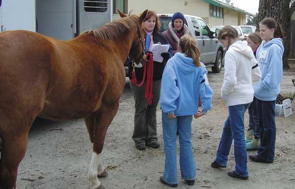 Locals place second, ninth at Pony Club quiz