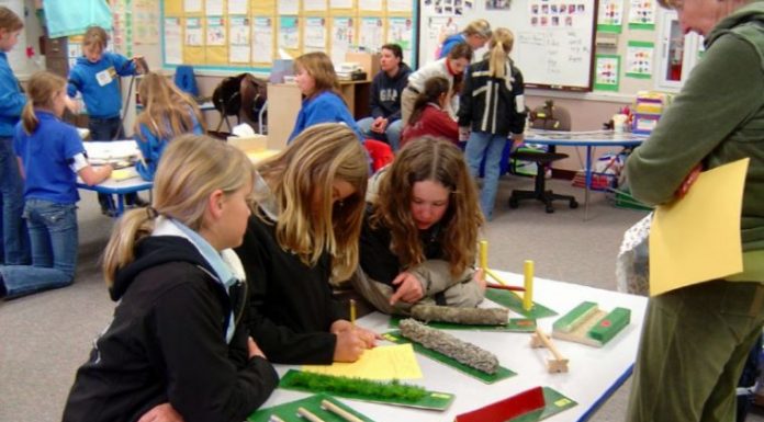 Pony Club hosts regional quiz rally