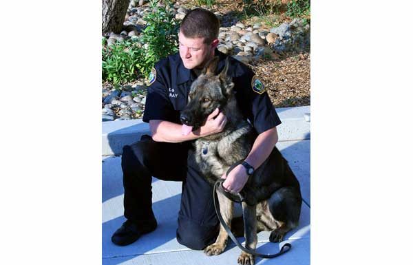 Red Phone: Canine officer getting bullet proof vest soon