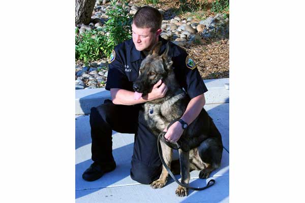 Red Phone: Canine officer getting bullet proof vest soon