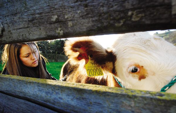 Sobrato’s green acres