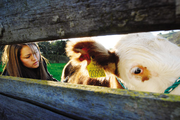 Sobrato’s green acres