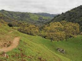 Getting out: Little Yosemite