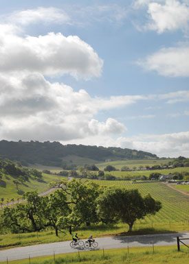 Cycling eases chronic pain