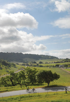 Cycling eases chronic pain