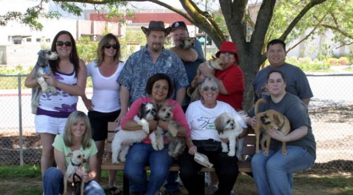 Dog owners celebrate two years of Morgan Hill Dog Park