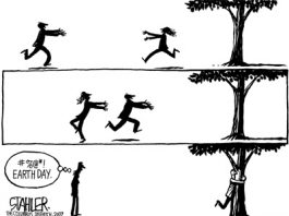 Editorial cartoons: Not everyone’s a fan of hugging trees