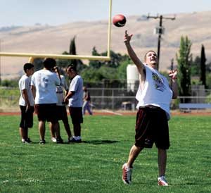 ‘Dogs starting from scratch