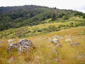 Long farewell to spring