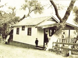 Springing back to life