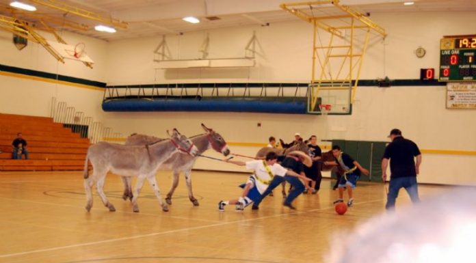 Live Oak students come up big