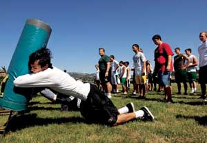 Acorns begin rebuilding for 2009