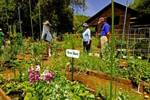 An ‘outdoor playground’ for summer