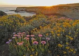 Getting Out: Wilder Ranch State Park