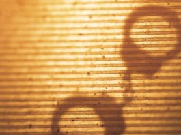 Police briefs: Woman bitten in scuffle over man