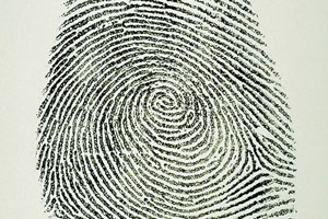 Sheriff’s blotter: Man borrows another man’s horse, sells it without permission