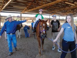 Not just horsing around