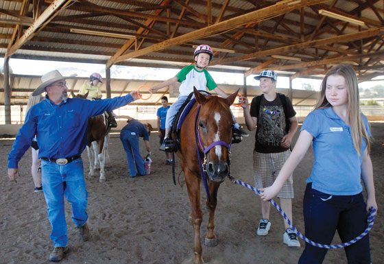 Not just horsing around