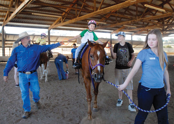 Not just horsing around