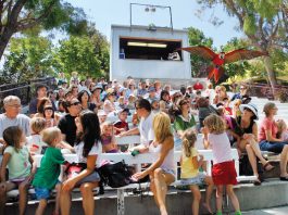 Barn owl escapes from Gilroy Gardens show