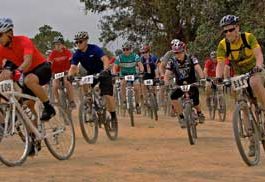 Temperature and times drop in second SVBRC race at Harvey Bear