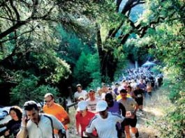‘Record’ turnout for Mount Madonna Challenge, dedication to late founder