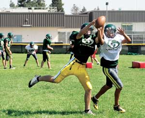 Strength (and speed) in Acorns’ numbers