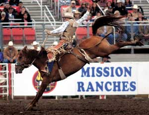 Summer to remember for local bronc rider