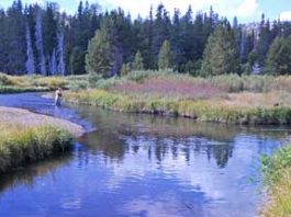 Getting Out: A Sierra delight