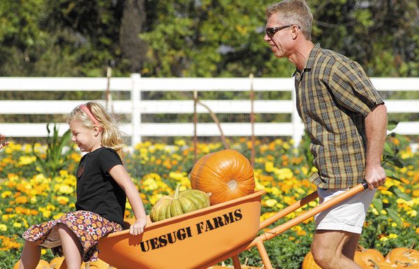 Pumpkin patch parlayed into park
