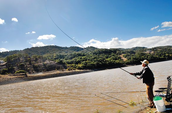 Laws seek to save steelhead