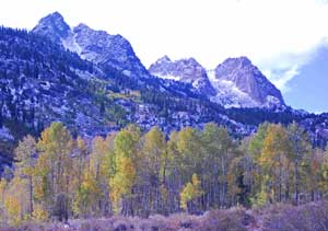 ERSKINE: California does, too, have ‘real’ fall colors