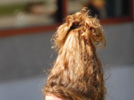 Spirits high for homecoming