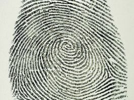 Sheriff’s blotter: Girlfriend reports boyfriend’s crime to prove point, district attorney to review