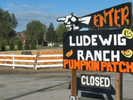 Stalled project caused sewer spill