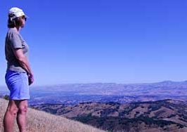 A stroll through Sierra Azul