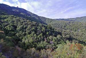 GETTING OUT: Woods Trail is perfect for any hiker with ambition