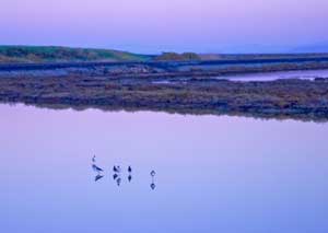 GETTING OUT: Bottom of the Bay