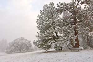 GETTING OUT: Giving thanks to nature