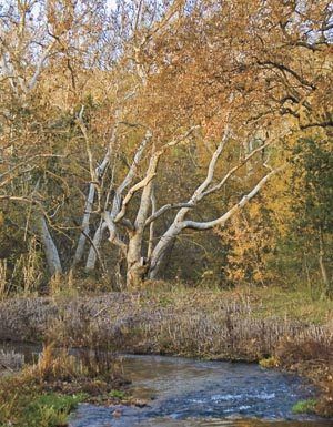 GETTING OUT: Along the Coyote Creek Pathway
