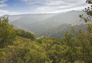 ERSKINE: Finding adventure in Hollister