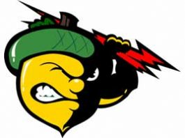 RUGBY: Acorns fall to defending league champs