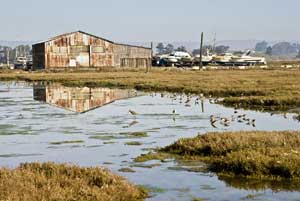 ERSKINE: One preserve that’s fun to visit, even in winter