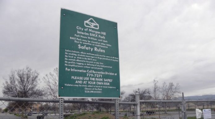 Council OKs transforming former skatepark into garden